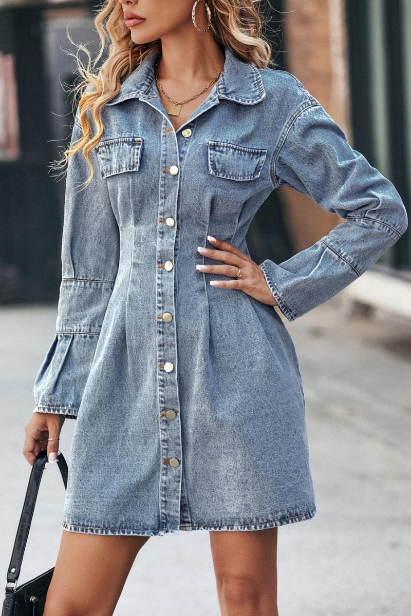 Dani Denim Dress