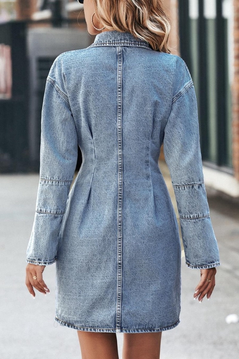 Dani Denim Dress