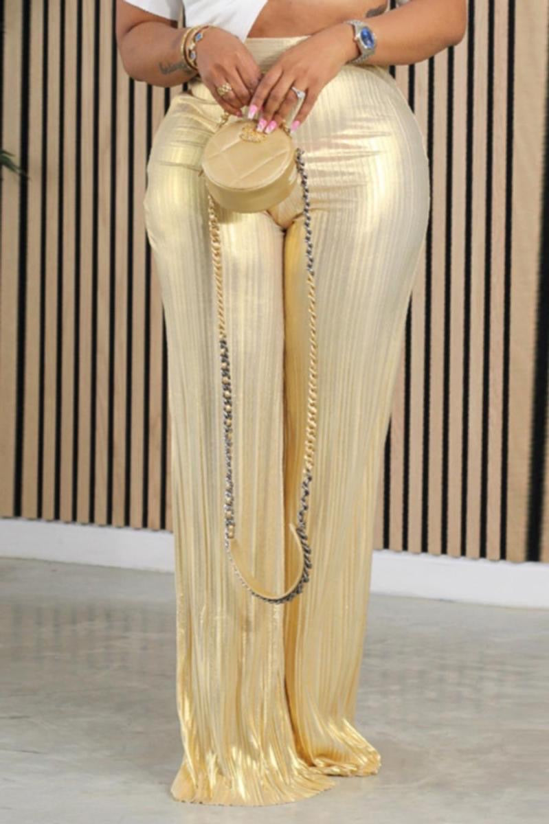 Slick pleated floor length pants