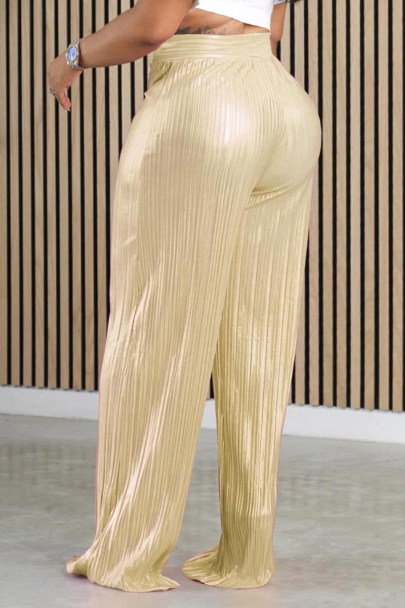 Slick pleated floor length pants